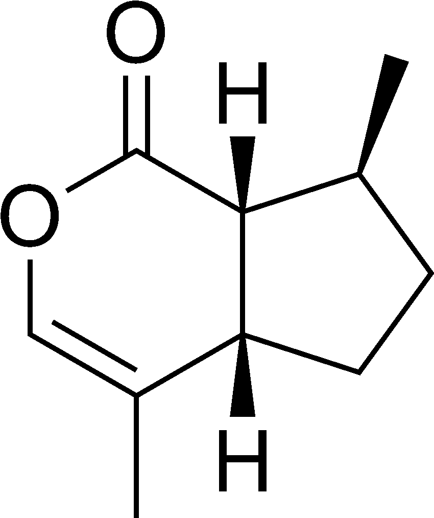 Chemical Structure Of The Cat Attractant Nepetalactone - Nepetalactone Chemical Structure (985x1162), Png Download