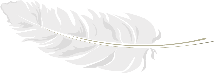 Dormir Sobre Una Nube Ya No Es Un Sueño, Nuestra Empresa - Blue Feathers Throw Blanket (844x387), Png Download