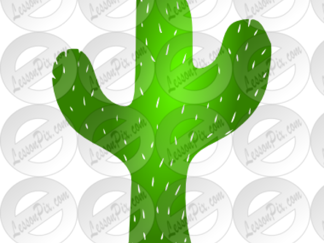 Cactus Clipart Tree - Cactus (640x480), Png Download