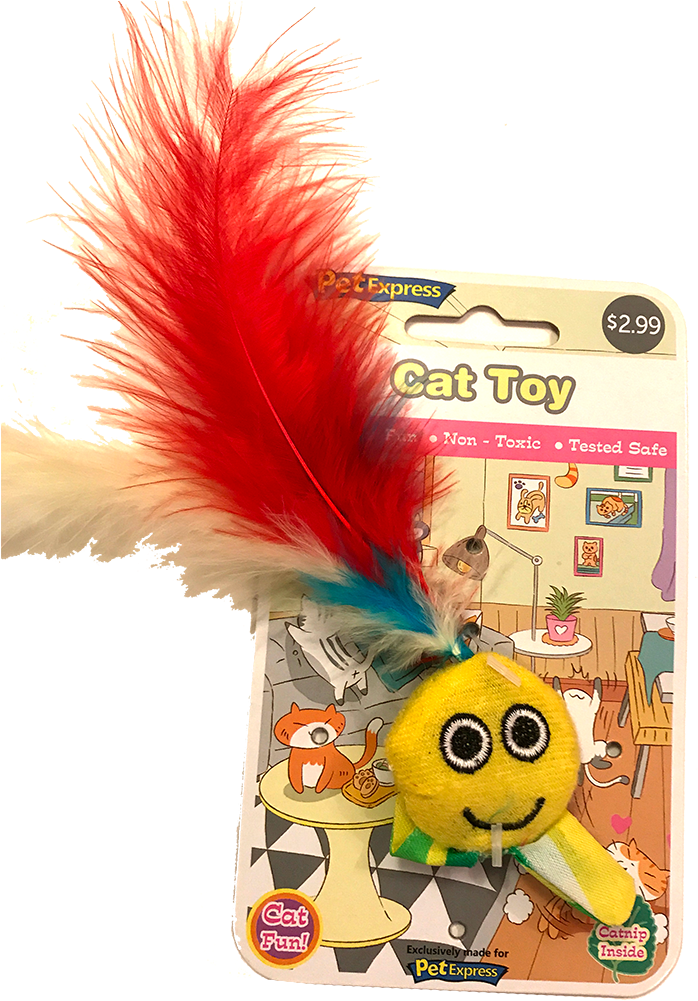 Toy (1000x1000), Png Download