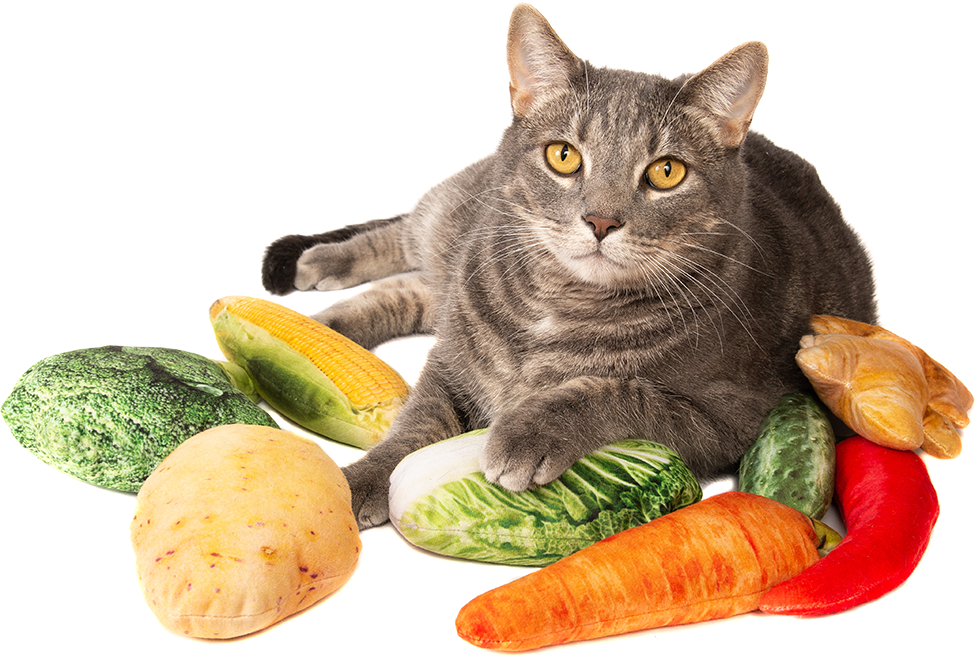 With Silver Vine & Catnip - Cat Grabs Treat (975x656), Png Download