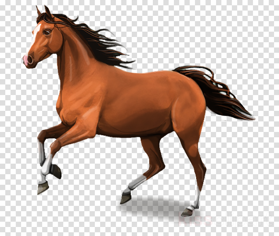 Horse Psd Clipart Foal Mustang Mare - Horse Images Psd Hd (900x760), Png Download