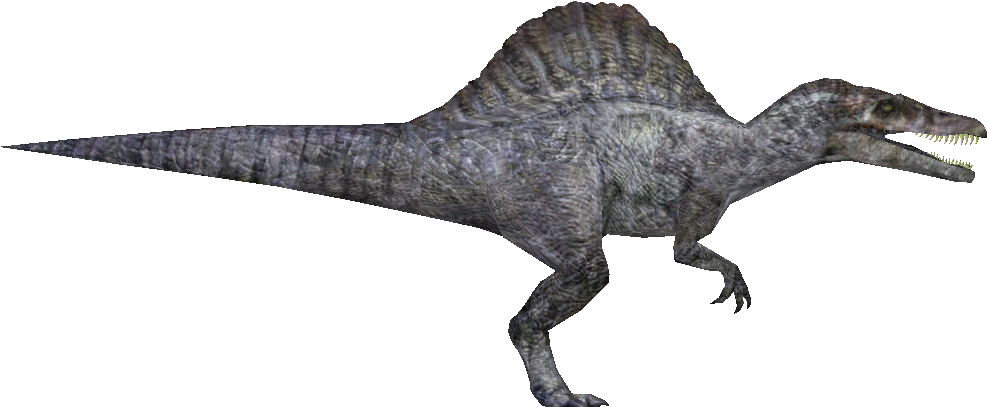 Spinosaurus - Zt2 Download Library Wiki Spinosaurus (1024x1024), Png Download