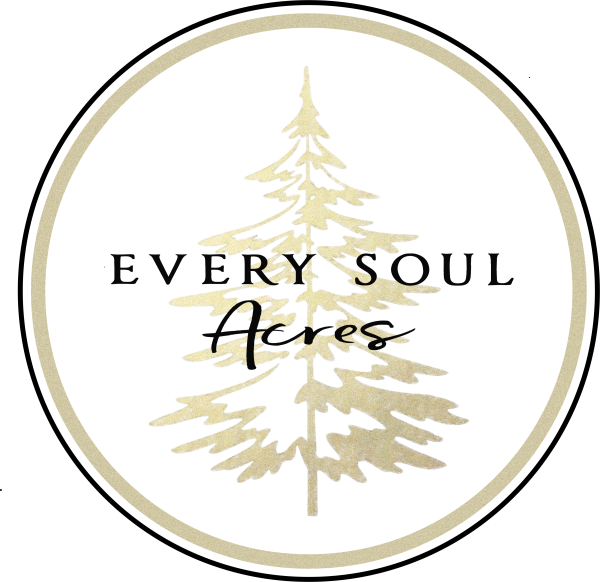 Circle (600x582), Png Download