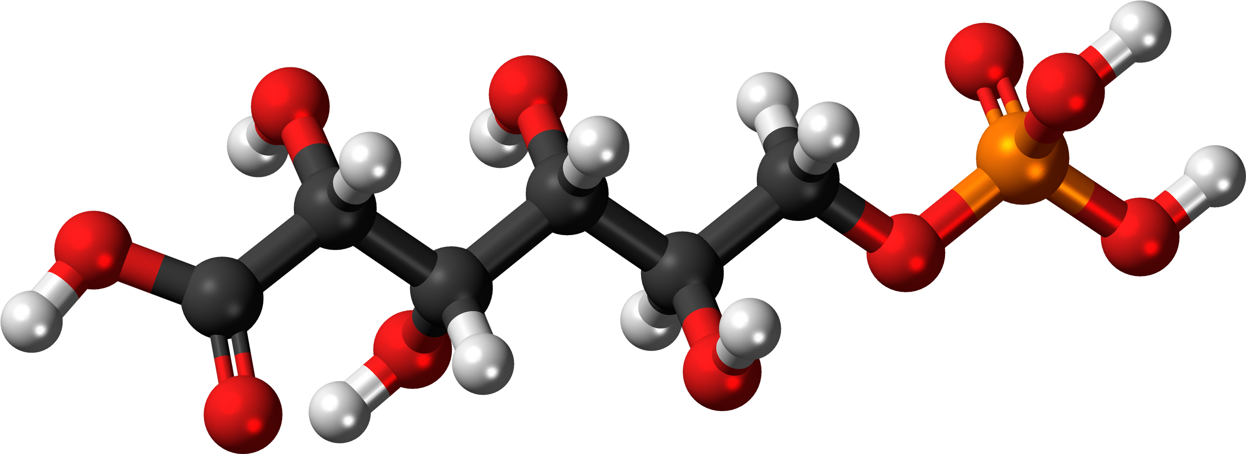 6 Phosphogluconic Ac - Molecule (2553x1000), Png Download