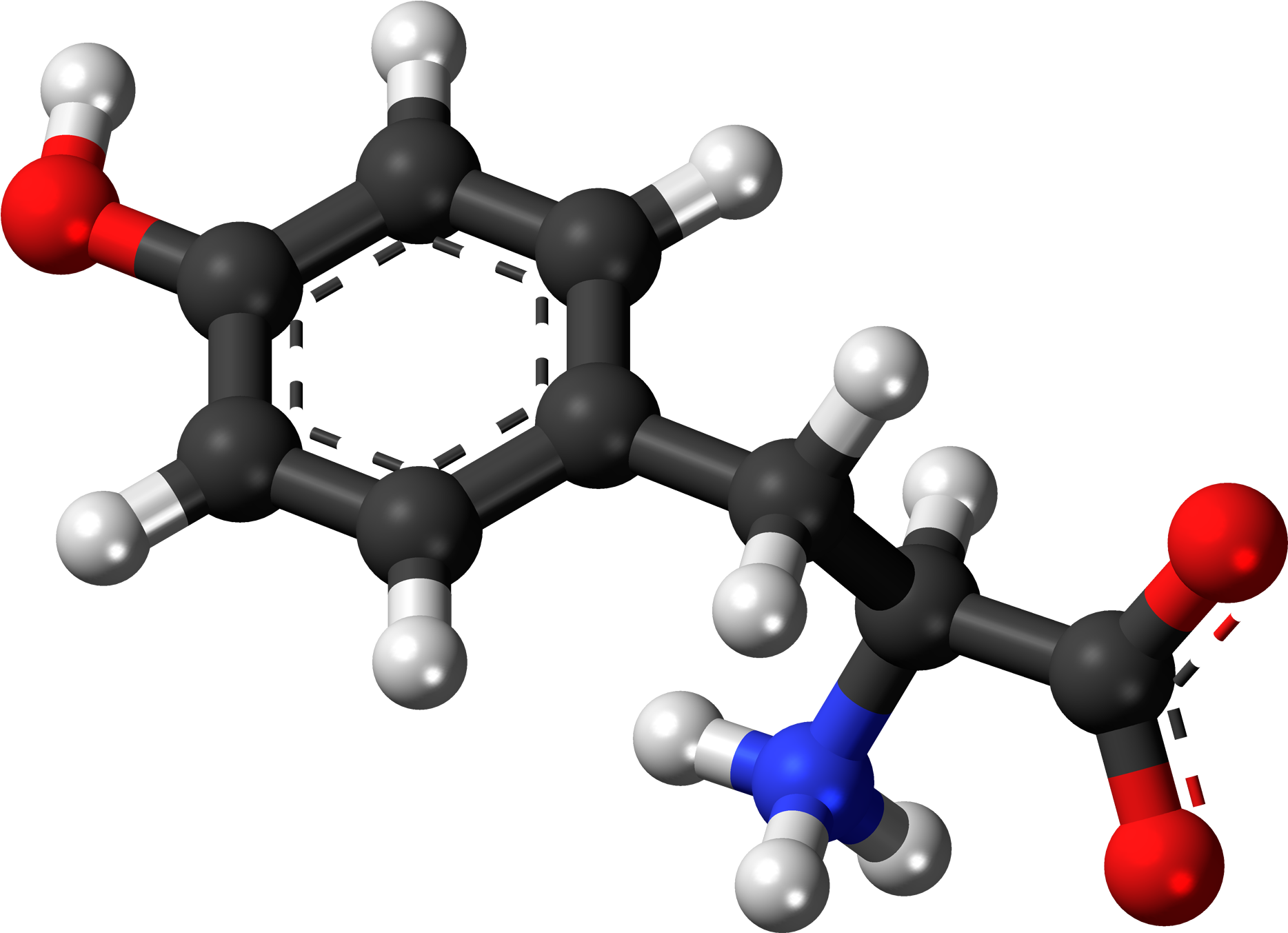 L Tyrosine Zwitterion 3d Balls - Amine Compounds (chemical Compounds) (2000x1485), Png Download