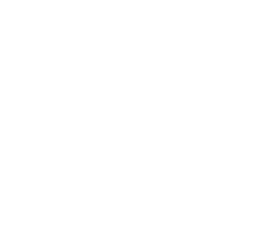 Paisley - Hawksbill Sea Turtle (858x782), Png Download