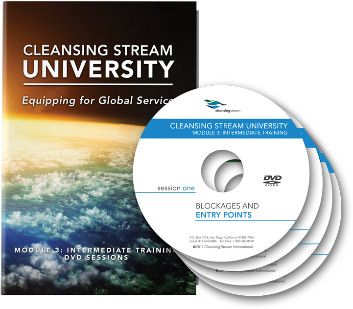 Dvd Set Site (846x800), Png Download