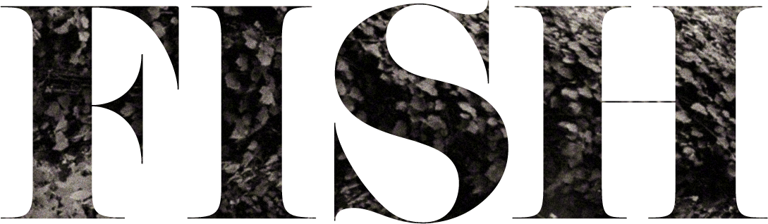 Crescent (1089x318), Png Download