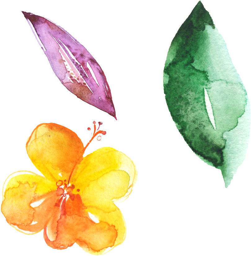 Hand Painted Flowers Green Leaves Beautiful Png - Portable Network Graphics (1024x1024), Png Download