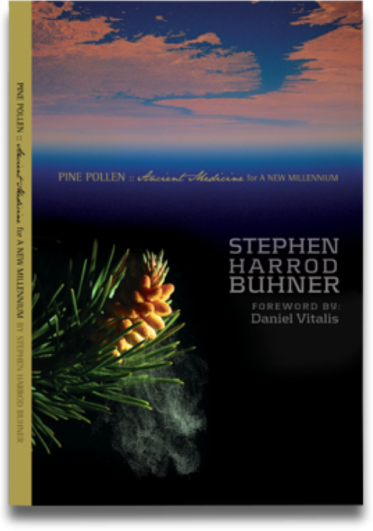 Download Pine Pollen Book 625×794 Pixels Pine Pollen Ancient