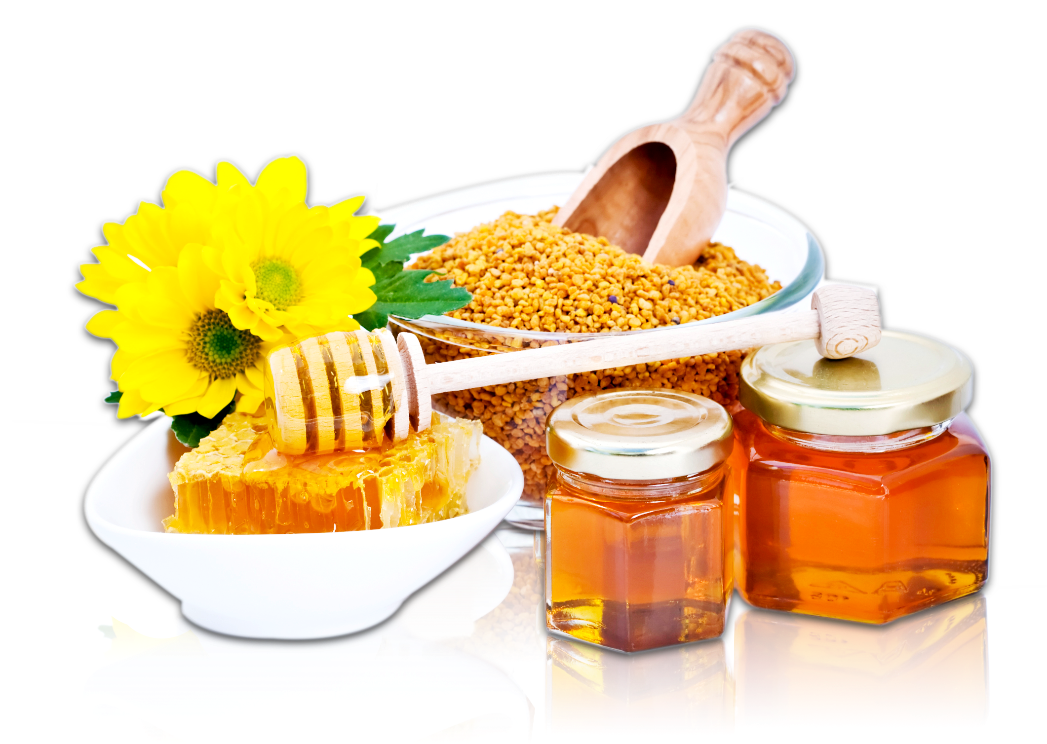 Pollen Seed There Are No Products In This Category - Sweeteners: Nutritional Aspects, Applications, And (2121x1835), Png Download