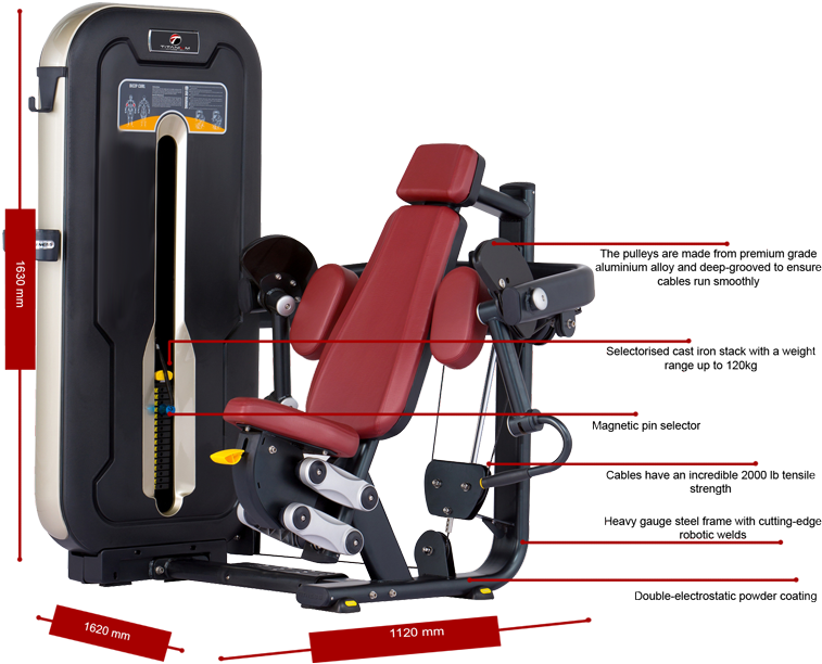 Titanium Usa Manhattan Bicep Curl Mt006 With Computerised - Titanium Usa Bicep Curl Mt006 (800x684), Png Download