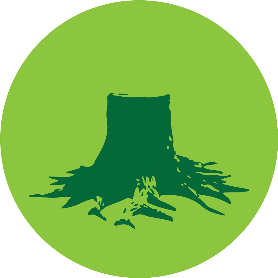Tree-stump (1000x1000), Png Download