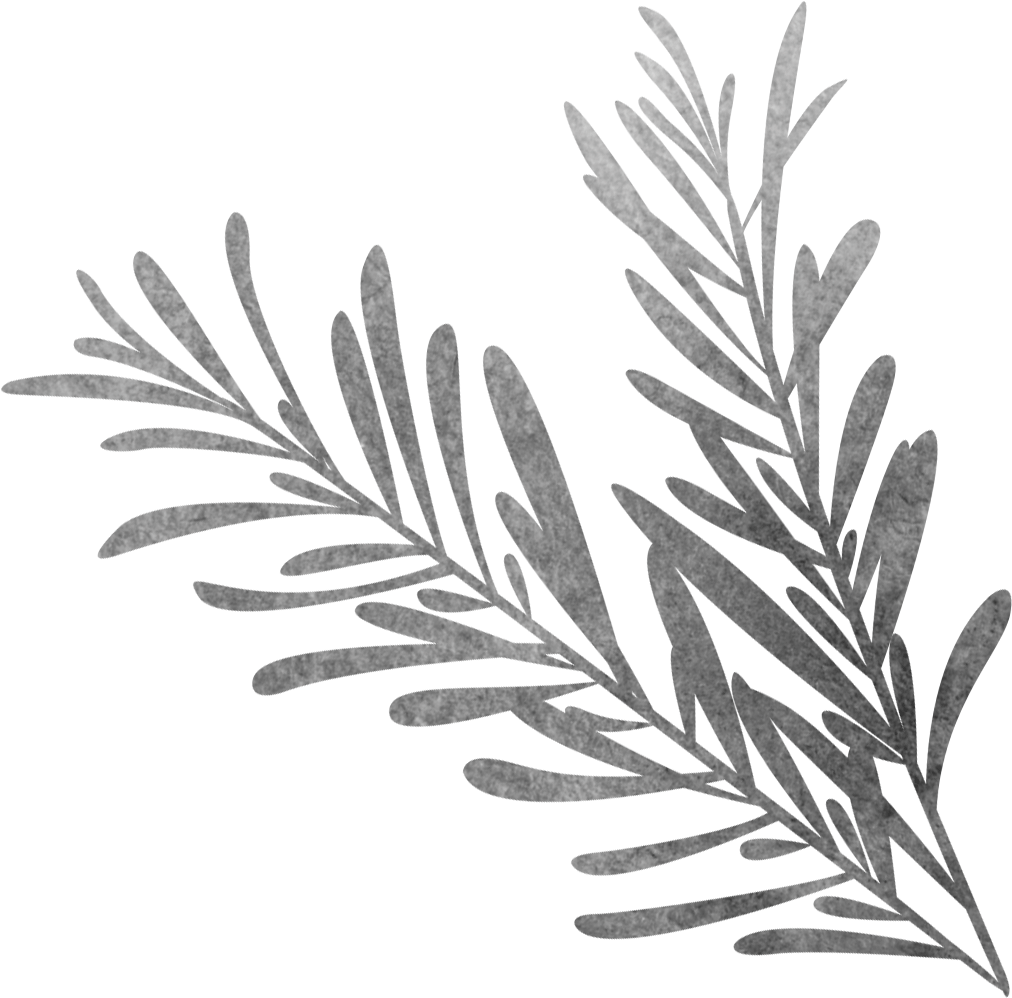 Vector Library Black And White Sketch Biological Grass - Sketch Rosemary (1846x1590), Png Download