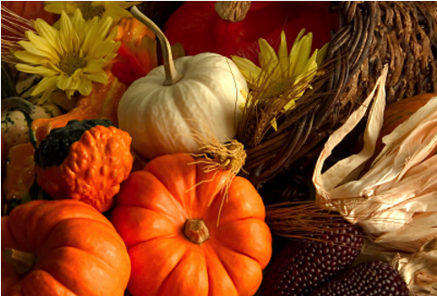 Wednesdays At Knox Celebrates Thanksgiving With A Special - Fall Thanksgiving Banner Give Thanks 3x5 (600x325), Png Download