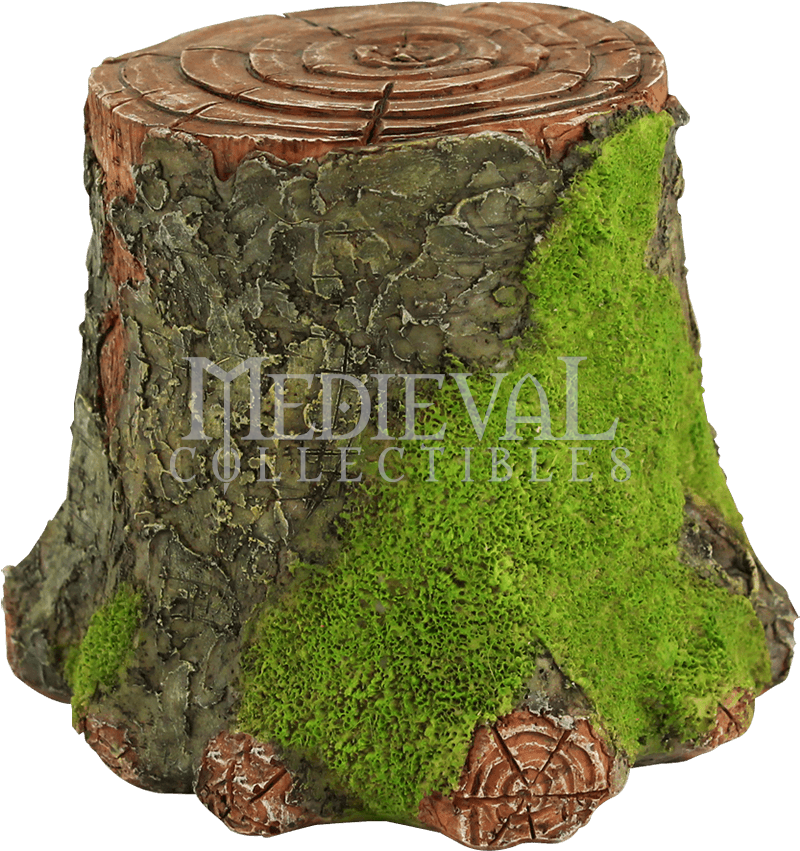 Download Dunecraft Pincushion Cactus (tiny Terrariums) Full Size PNG