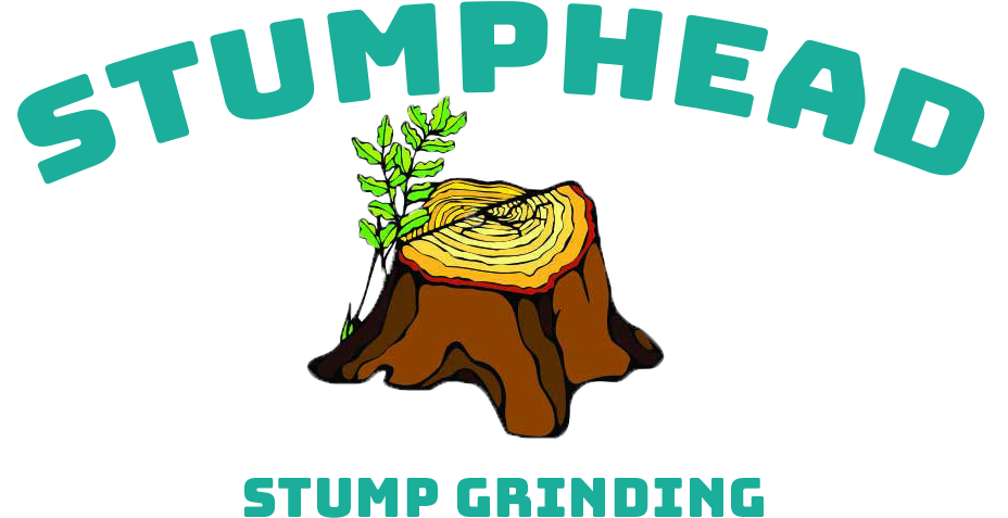 Stump Grinding & Removal - Tree Stump (1002x547), Png Download