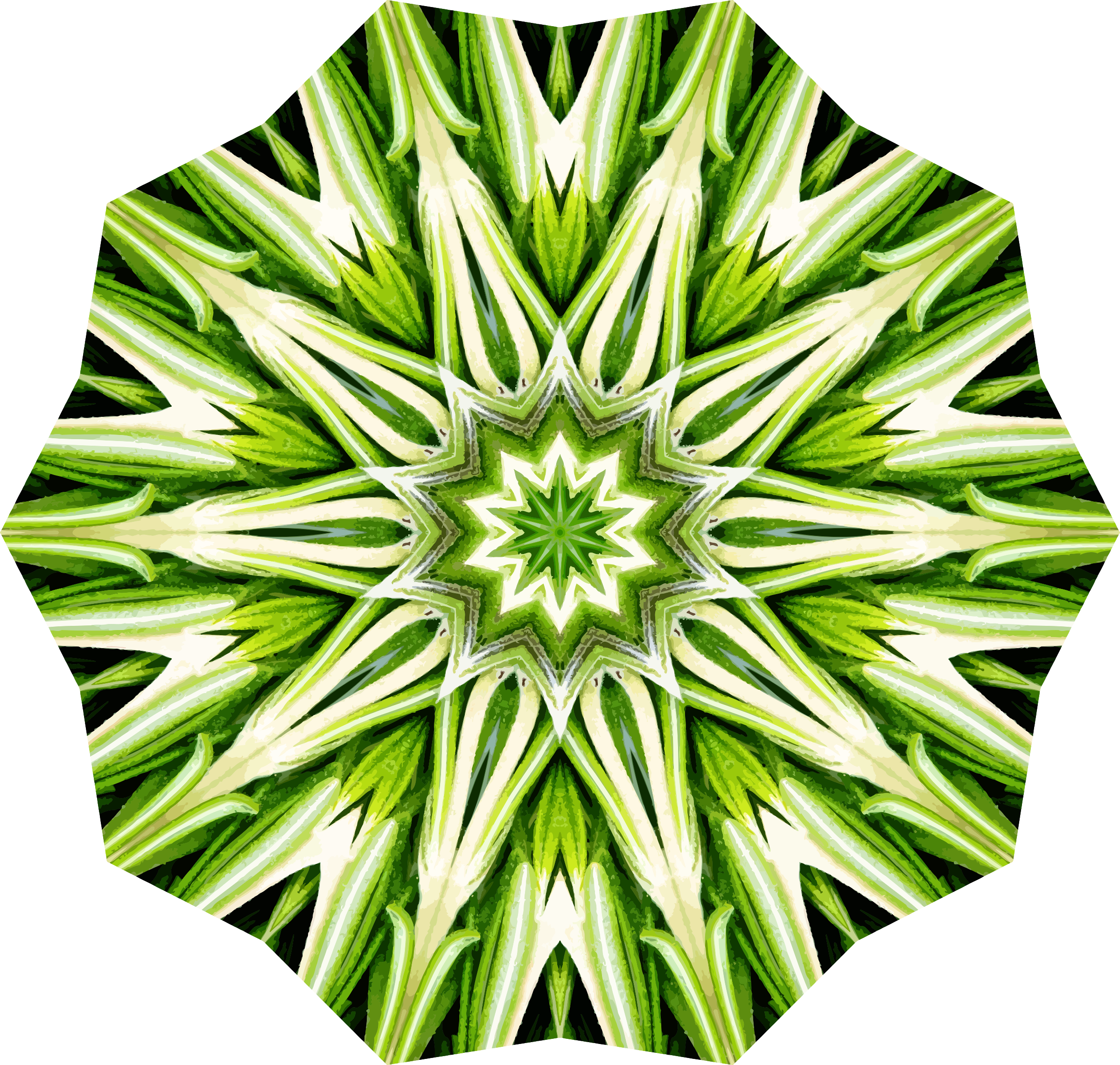 This Free Icons Png Design Of Rosemary Kaleidoscope (2400x2282), Png Download