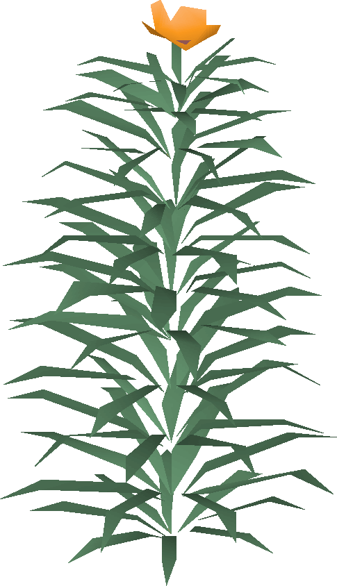 Rosemary Built - Houseplant (485x844), Png Download