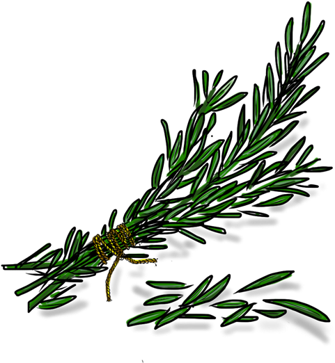 Rosemary - Rosemary Transparent Png (715x677), Png Download
