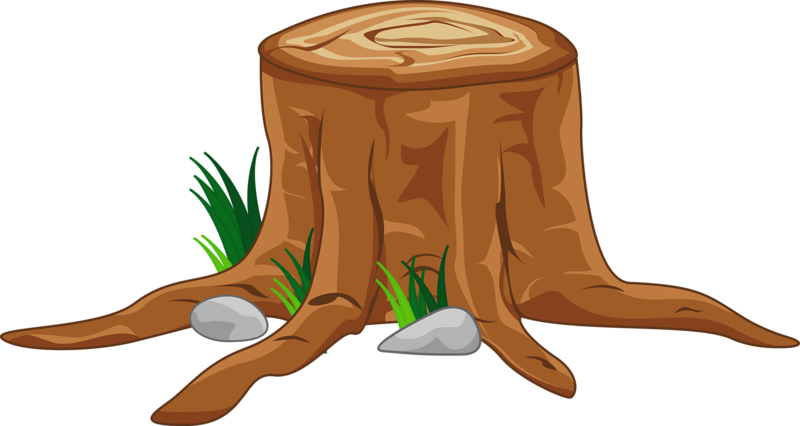 Banner Royalty Free Download Cartoon Reading Book Clip - Cartoon Wooden Trunk (800x426), Png Download