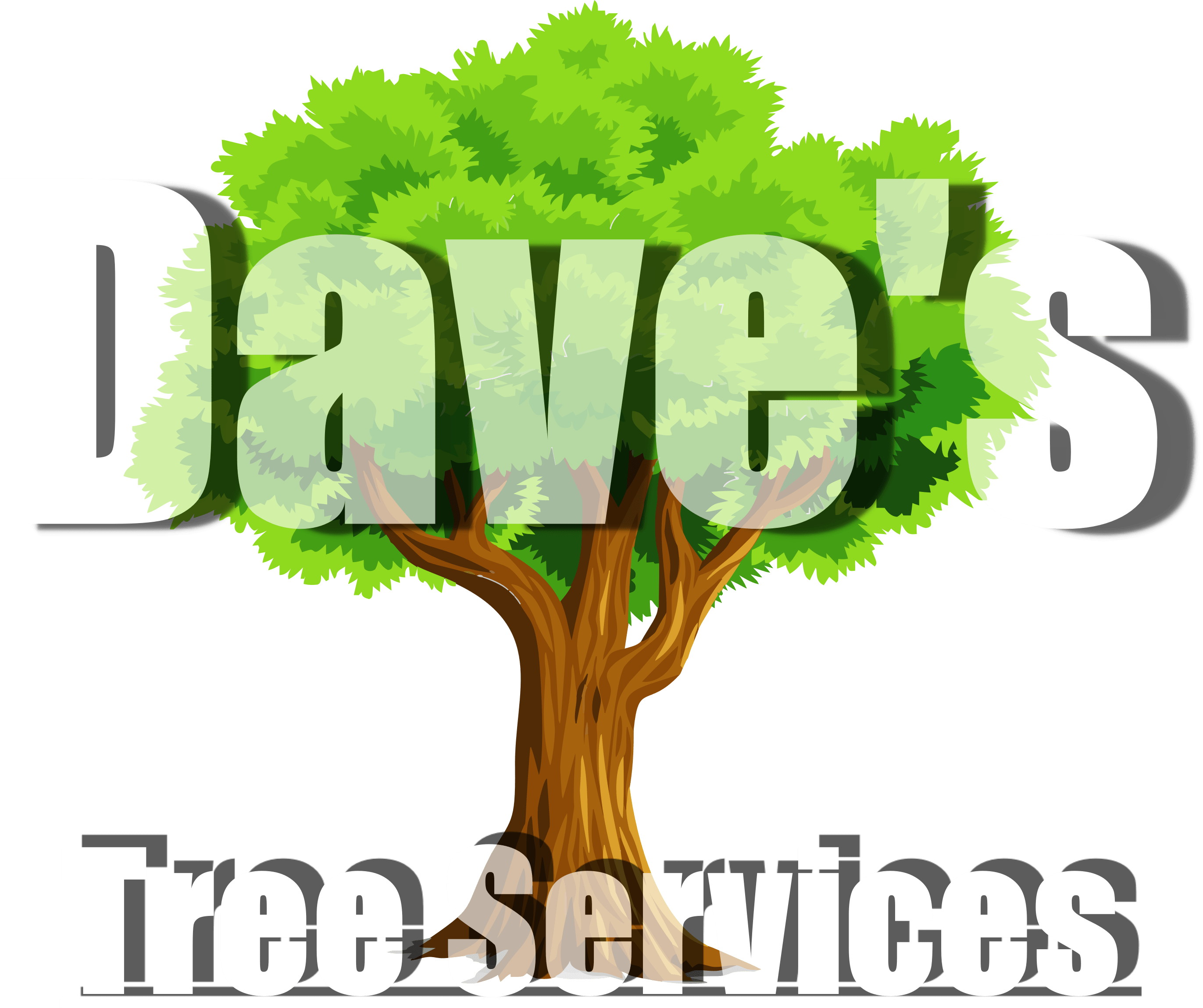Download Dave's Tree Services Sandy Springs Full Size PNG Image