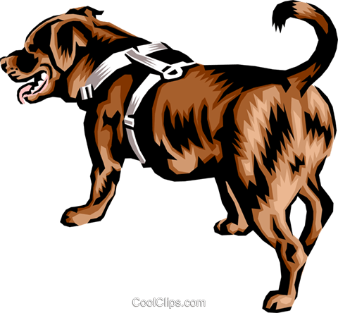 Newfoundland Dog Royalty Free Vector Clip Art Illustration - Newfoundlands Dog Vector Png Clipart (480x444), Png Download