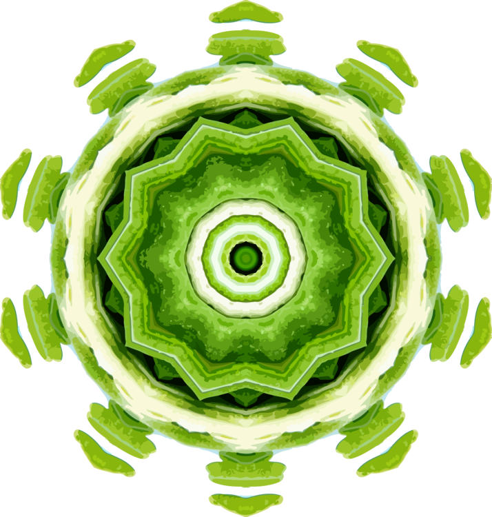 Computer Icons Herb Rosemary Kaleidoscope - Clip Art (714x750), Png Download