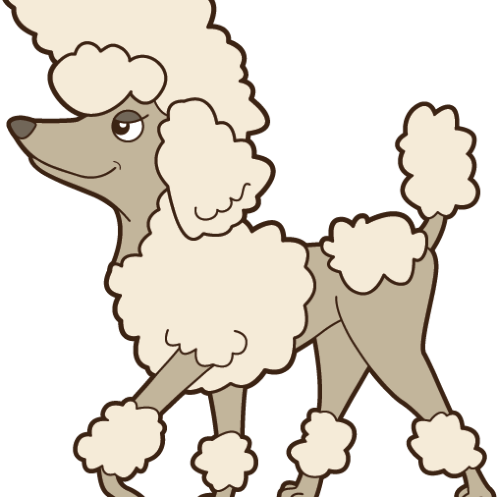 Poodle Clipart Poodle Dog - Poodle Clipart (1024x1024), Png Download