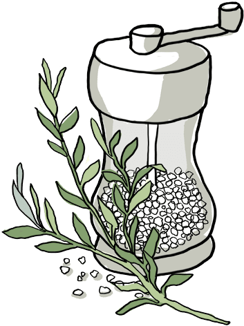 Ingredient Rosemary - Line Art (564x477), Png Download