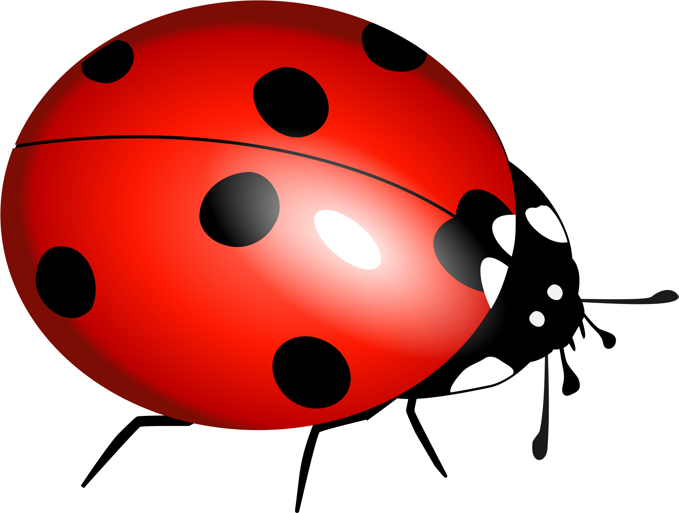 Hippie Clipart Unconditional Love - Lady Bug Clipart (2400x1882), Png Download