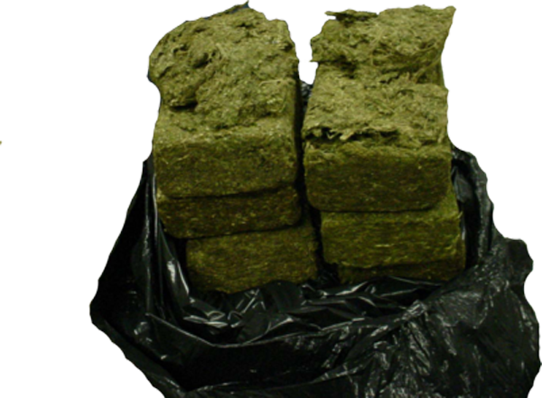 Dea Allows University Of Mississippi To Grow Way More - Marijuana Press (600x441), Png Download