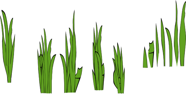 Weed Clipart Sea Grass - Grass Clip Art (600x303), Png Download