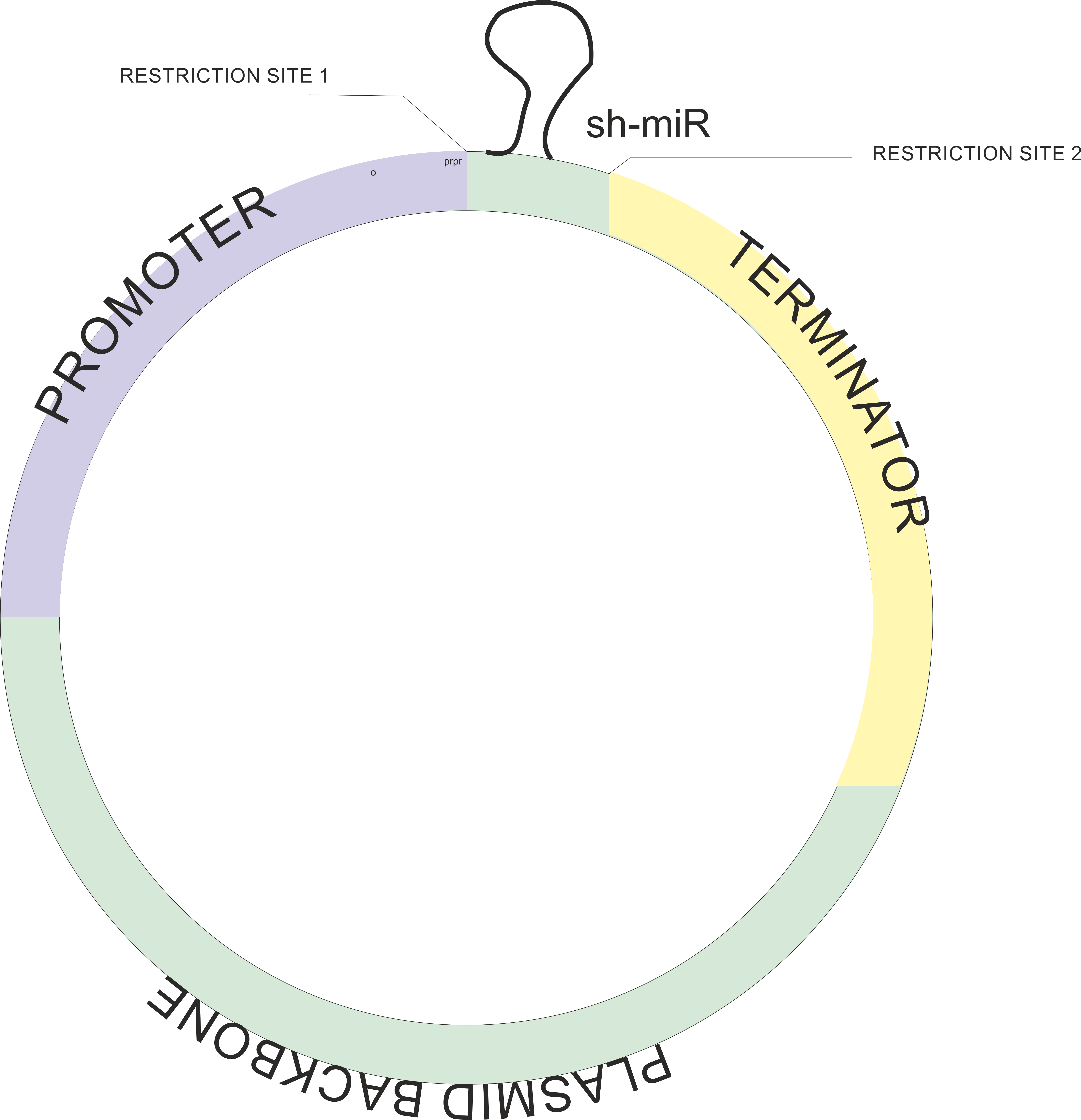 Standard Parts - Css3 (5477x5672), Png Download