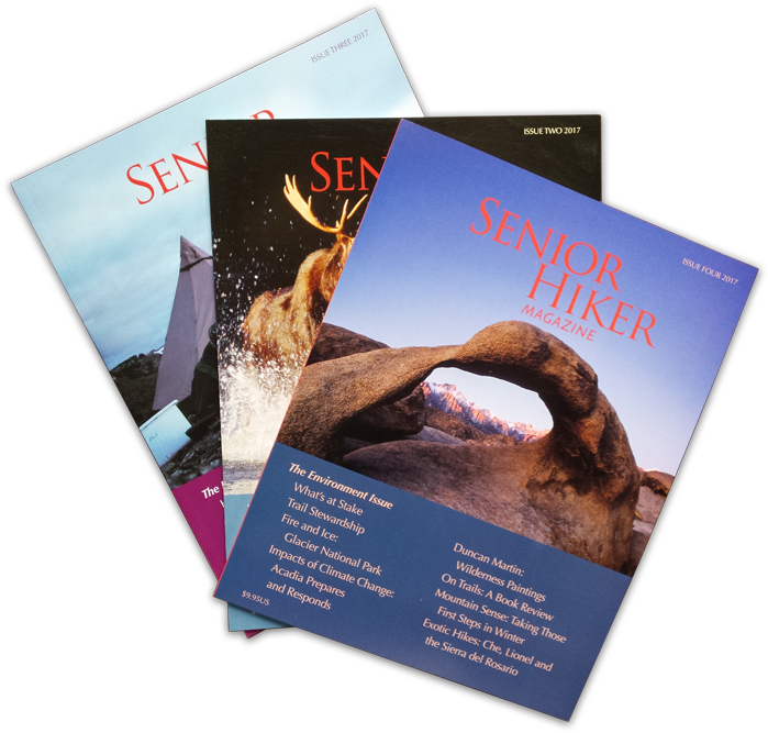 Buy Or Renew Subscription - Flyer (700x700), Png Download