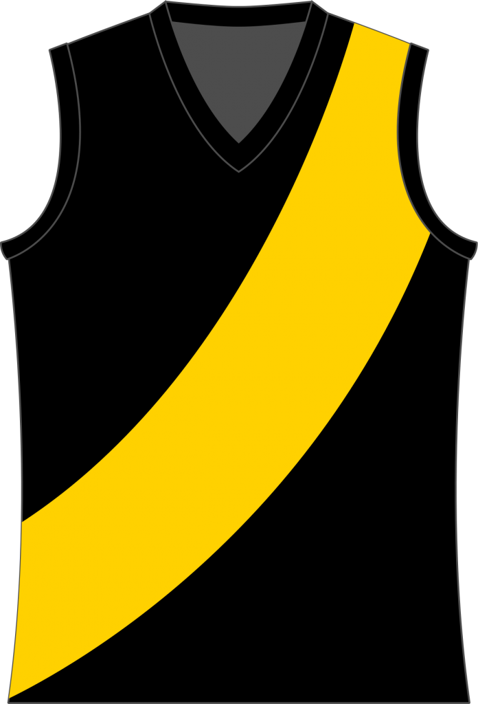 2018 Fifa World Cup Brazil T Shirt Football Football - Richmond Tigers Jersey 2018 (696x1024), Png Download