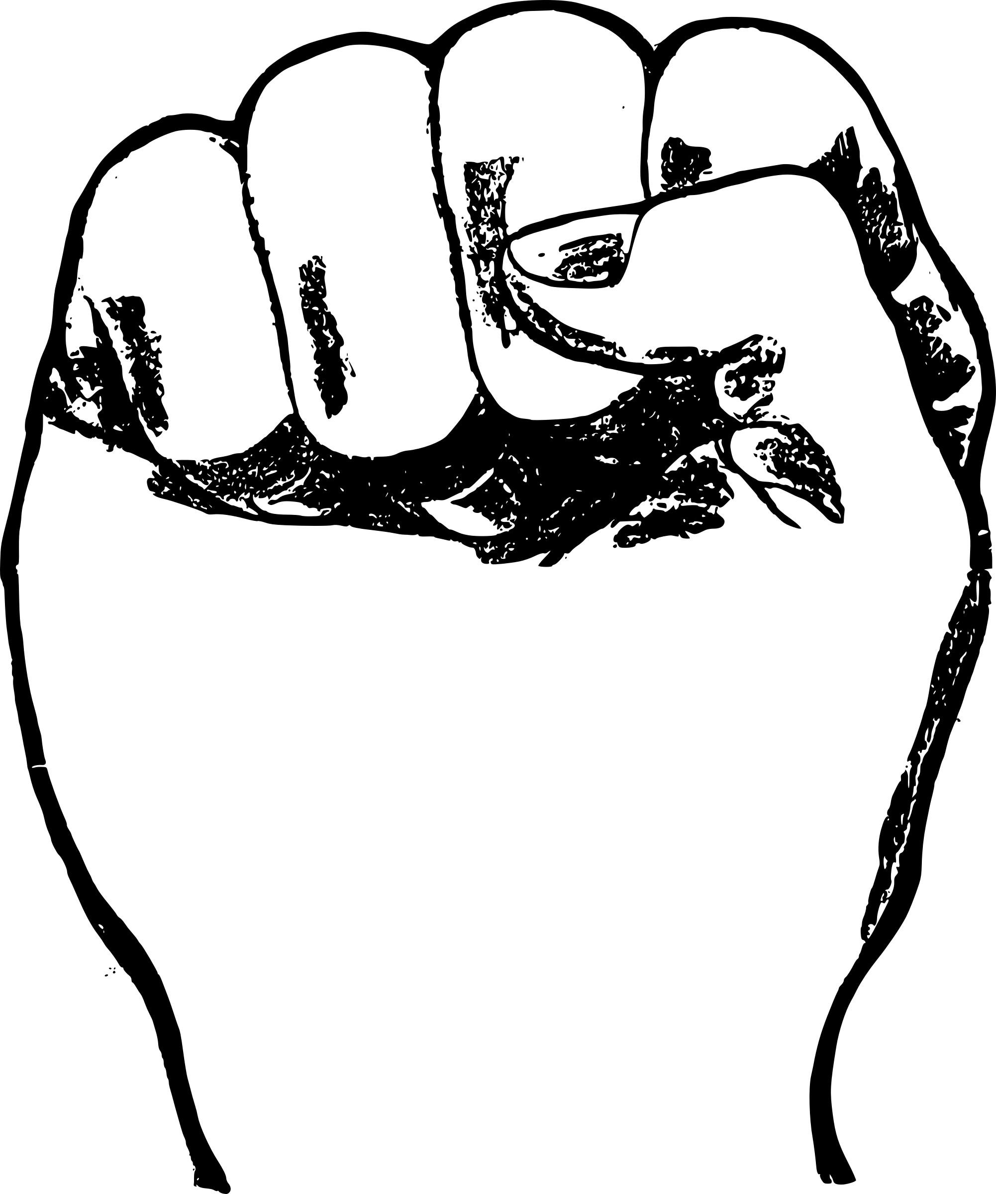 Clipart - Fist Png (2002x2400), Png Download