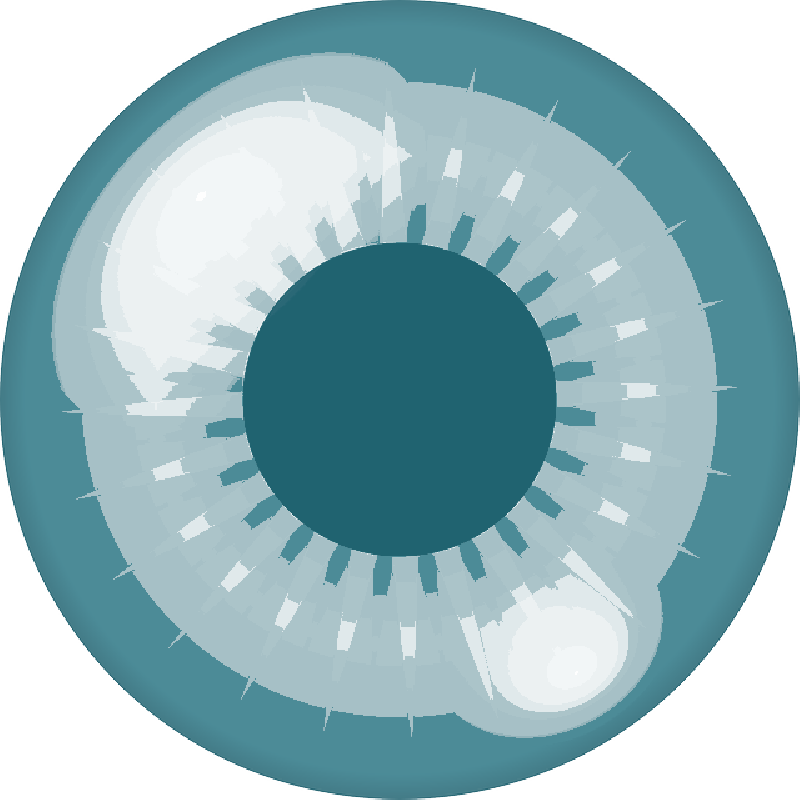 Mb Image/png - Odds Of Being Killed By A Refugee (800x800), Png Download