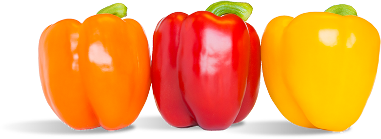 Tap The Peppers To Unveil The Facts - Red Orange Peppers Png (800x297), Png Download