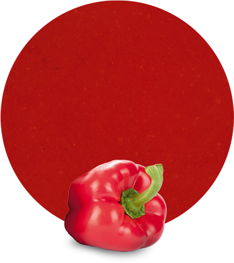 Red Pepper Gives Personality To Meals By Being The - Red Bell Pepper (536x595), Png Download