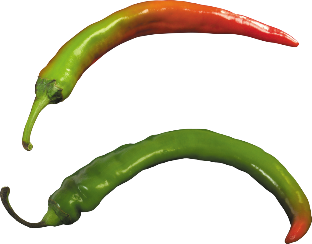 Pepper Png Clipart - Green Hot Pepper Png (1024x803), Png Download
