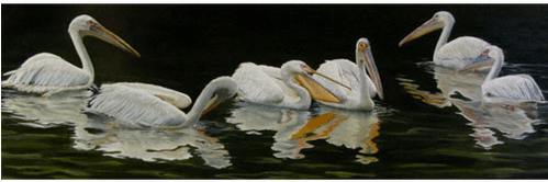 John James Audubon (498x498), Png Download