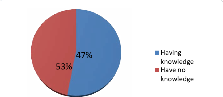 Summary Index On Level Of Awareness Of Danger Sign - Pie Chart On Poverty In India (761x331), Png Download