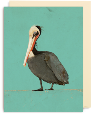 Pelican Mini Card - Wenskaart Carrie May (560x600), Png Download