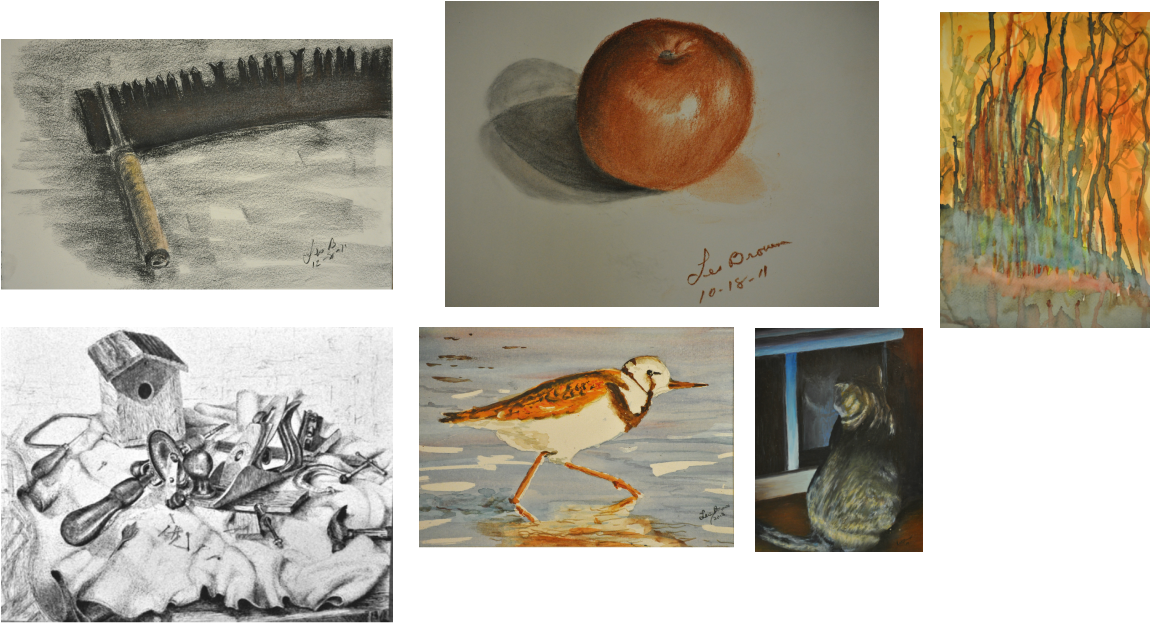 Above Is An Abstract Collage Called Boston Harbor - Ruddy Turnstone (1151x624), Png Download