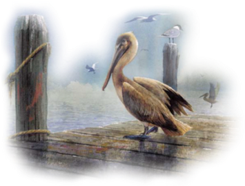 Pelican On Dock - Watercolor Painting (400x304), Png Download