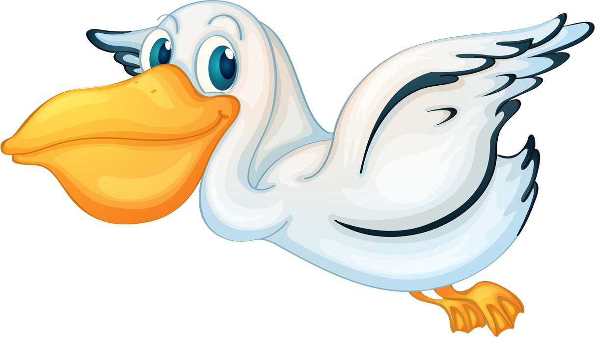 Pelican Eating And Flying (1212x687), Png Download