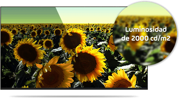 01 Mar Brillo - Memory At Large [book] (630x353), Png Download