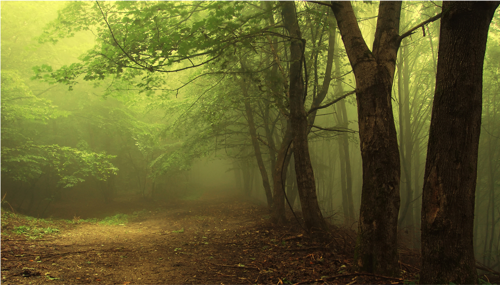 Score 50% - Unofficial Guide To The Elder Scrolls V - Skyrim: A (1000x1000), Png Download